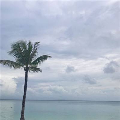 一码一肖100准资料应用下载手机版