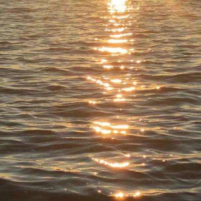 爱游戏综合官方网站App下载